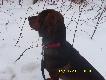 widze go idzie powoli w nasz� stron� ale du�y czarnuch...