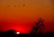 Nie wysz�y... ale za to przylecia�y...