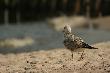 Smutek bia�ych pla� ;-)