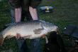 8.75kg LOWISKO CICHA WODA