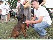 M�j pies.
Wystawa 2005 Olsztyn. To m�j pies z moj� po��wk� w czarnej bluzce.