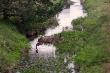 Wstr�t do wody... lekko nieostre ale ju� p�no by�o.