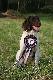 Mi�dzynarod�wka Wroc�aw ocena doskona�a BOB, CWC