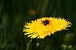 I pomy�le�, �e gdzie� tam sypie �nieg.... :-(