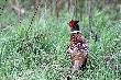 W�a�nie wschodzi�o S�o�ce ale by�o zas�oni�te chmurami :-((  Dlatego takie smutne zdj�cie.