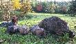 Jesie�, pi�kna pora roku