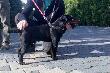JOKER von Kleinem Fluss
