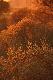 Widok z ambony.Nie zawsze jest r�owo ;-)