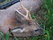 ;o)
