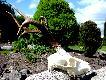 pierwszy kozio�ek w tym sezonie, waga tuszy 19kg. 12.05.2011r (b�benki n.Wis��)