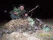    8  dziczek w tym sezonie...Przelatek...waga 41 kg...Pozdrawiam  ..DB..