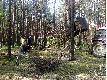 14 maj 2011r. Stawiamy le�n� ambon�