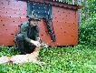 Wid�ak 5 poro�e