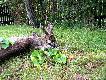 Jeszcze takiego w swojej kolekcji nie mia�em.