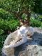 D�browa Namys�owska 15-05-2011r.