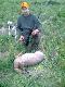 Pierwszy tego sezonu. B�dzie tatarek:)