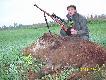   --12 -- dziczek w tym sezonie przelatek p�ci m�skiej ,waga 58 kg....trzeci dziczek strzelony z podchodu  w dzisiejszym dniu...Pozdrawiam ..DB..RAJMUND..