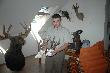Sarna syberyjska, oraz z�otomedalowy rogacz o wadze ok. 920 g. 