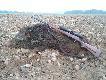 Do ambony oko�o 160 m