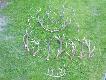 Czas zako�czy� sezon...,ale by� niez�y:)