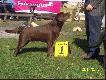 m�j faworyt i zwyci�zca