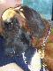 dzie� by� m�cz�cy, ale wspania�y 
medal i CWC Kire uspa�y!!