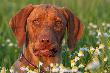 9 miesi�cy