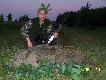 Poranny podch�d zako�czony tym oto przelatkiem �e�skim..19 dzik w tym sezonie,waga 29 kg..Dzi�ki �w.Hubercie-DARZ B�R...