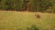 Na chwil� przed strza�em.