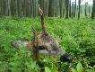 Bardzo mi�o by�o go z tego przekonania wyleczy�. 