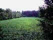 "Sto��wka" ro�nie w oczach.