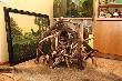 Troch� si� tego nazbieralo. Zna mo�e kto� najlepiej w okolicy Poznanaia rzemie�lnika artyst�, kt�ry potrafi�by zrobi� wieszak i lampe? 