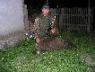 Przelatek,kt�rego pozyska�em 29.05.2011r.,to jeden z dw�ch dzik�w:)