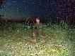 Ten sam wiecz�r lis nr 2. 04.06.2011. DB!

