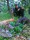 Godz. 4 rano podchodz� na rzepaku 6 loch, mam idealny wiatr. Mam do nich ok 10-15m. Pasiaki podchodz� do mnie na 3m. Powoli si� wycofuje... podchodz� le��cego w niskim rzepaku szydlarza. Rozk�adam pastora�, czekam a� wstanie... gwi�d��, on si� rozgl�da. W ko�cu wstaje i posy�am kulk� na komor�. Id� w dalszy obch�d - widz� dziadka z lewej - te� si� k�adzie w trawie... i to samo - gwi�d�� - wstaje - kulka na komor�! Id� po szydlarza - patrz�, a 300m od niego pasie si� 6 loch i 3 przelatki. Podchodz� na jakie� 100m i wybieram 22kg przelatka. ;) i taki to w�a�nie mia�em dzisiejszy poranek! ogromna rado��, dzi�kuj� �w. Hubercie