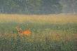 Prosi� si� o kul� ponad kwadrans... po chwili przemy�lenia odpu�ci�em mu i zako�czy�em spotkanie tylko tym zdj�ciem.