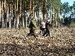 koledzy z naszego ko�a