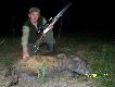 Przelatek �e�ski ,strzelony w ksi�ycow� noc.Waga 24 kg..DARZ B�R...-"kiepskie zdj�tko"