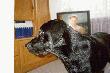 Moj profil :)))