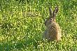 Pogaw�dzi�bym troch�...