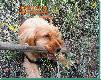 Ale mam mocne z�by