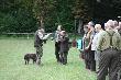 U�cisk d�oni s�dzi�w...