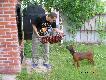 Zainteresowanie kie�BASKO :)))
