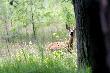 Zachwycona to ona nie by�a. 26-06-2011