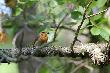 09-07-11 troch� s�abo wsp�pracowa�.