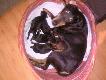 Miot Jag�w:)