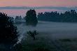 W oddali mglisty przeci�g:-)