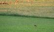 Ostatnie zdj�cie w tej galerii