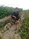 M�j pierwszy dublecik.