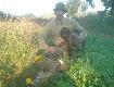 Wspania�a pogoda,�w.Hubert darzy�,pies ,porobi�' a i echo po sygna��wce ponios�ooo :))))